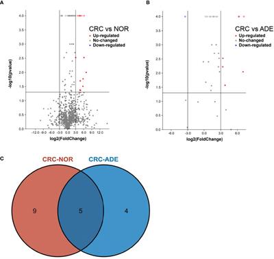 A New Biomarker of Fecal Bacteria for Non-Invasive Diagnosis of Colorectal Cancer